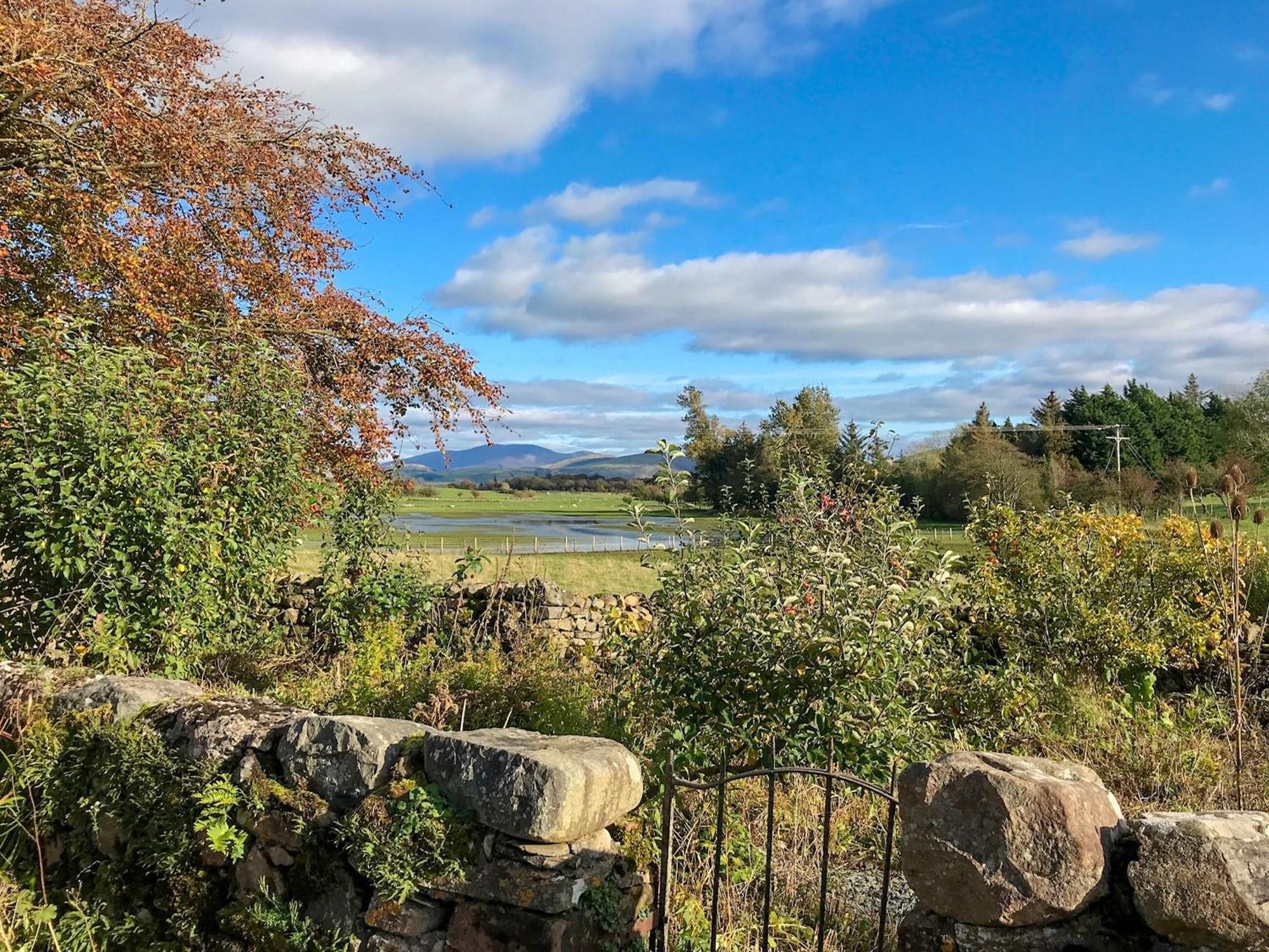 Springlea Cottage Dean  Esterno foto